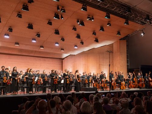Menuhin Festival Youth Orchestra©Bailey Davidson