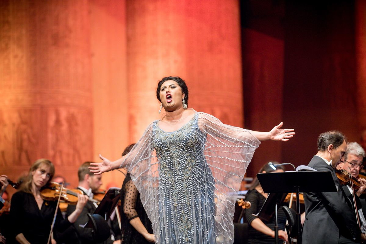 1.9_gianandreanoseda_lso_rfx_0477.jpg 1.9_gianandreanoseda_lso_rfx_0477.jpg