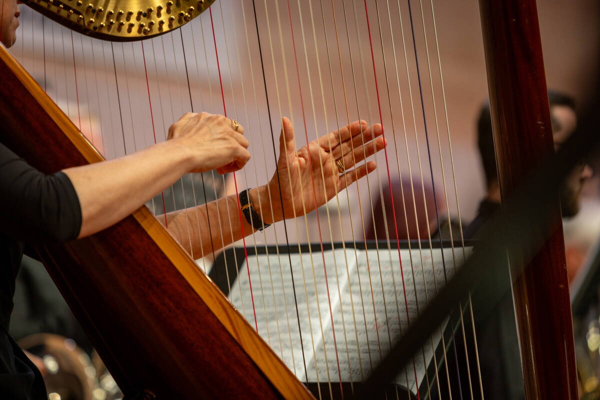 08032025_gmfao_bybdp-53.jpg 08032025_gmfao_bybdp-53.jpg