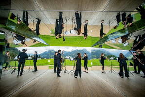 Reeds in Motion Zoom: Reeds in Motion