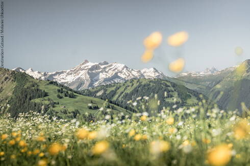 Music for the Planet Music for the Planet