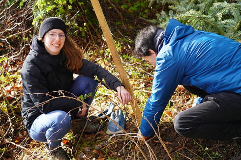 Music for the Planet Music for the Planet